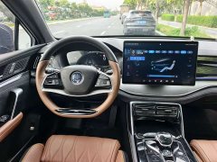 BYD Tang New Energy 2021 DM-i 112KM Premium Edition - ფოტო 9