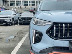 Haval Chitu 1.5L DHT - ფოტო 5
