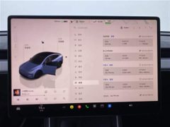 Tesla Model Y Rear-Wheel Drive Launch Edition - ფოტო 10