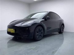 Tesla Model Y Rear-Wheel Drive - ფოტო 1