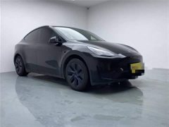 Tesla Model Y Rear-Wheel Drive - ფოტო 12