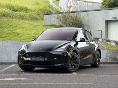 Tesla Model Y Rear-Wheel Drive - ფოტო 1