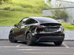 Tesla Model Y Rear-Wheel Drive - ფოტო 13