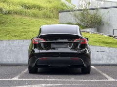 Tesla Model Y Rear-Wheel Drive - ფოტო 14