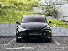 Tesla Model Y Rear-Wheel Drive - ფოტო 2