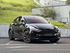 Tesla Model Y Rear-Wheel Drive - ფოტო 3