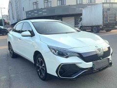 Nissan Venucia D60EV 2020 Standard Range Comfort Edition - ფოტო 1