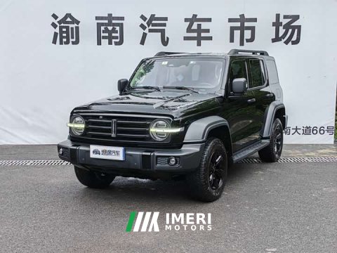 2021 Tank 300 Off-Road Edition 2.0T Conqueror - ავტომობილი ჩინეთიდან