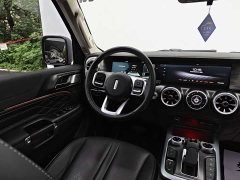 Tank 300 Off-Road Edition 2.0T Conqueror - ფოტო 4