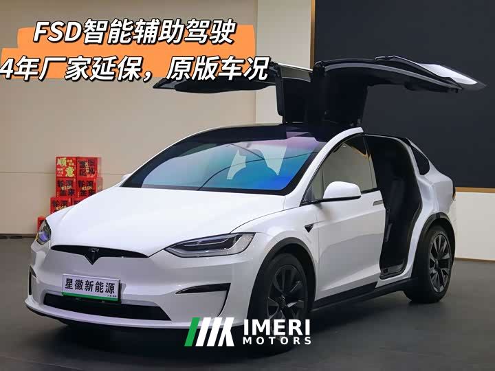 Tesla Model X Dual Motor All-Wheel Drive