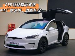 Tesla Model X Dual Motor All-Wheel Drive - ფოტო 1