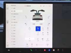 Tesla Model X Dual Motor All-Wheel Drive - ფოტო 13