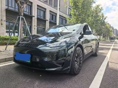 Tesla Model Y Long Range All-Wheel Drive - ფოტო 1