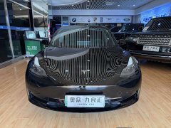Tesla Model 3 Rear-Wheel Drive - ფოტო 2