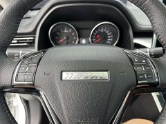 Haval M6 PLUS 1.5T DCT Luxury Smart Connected Edition - ფოტო 14