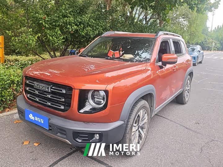 Great Wall Dachshund 1.5T DCT Two-Wheel Drive Labrador Edition - ავტომობილი ჩინეთიდან