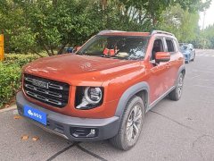 Great Wall Dachshund 1.5T DCT Two-Wheel Drive Labrador Edition - ფოტო 1