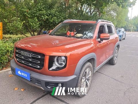 2021 Great Wall Dachshund 1.5T DCT Two-Wheel Drive Labrador Edition - ავტომობილი ჩინეთიდან