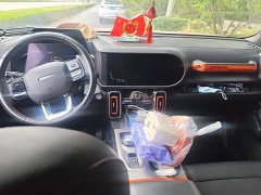 Great Wall Dachshund 1.5T DCT Two-Wheel Drive Labrador Edition - ფოტო 12