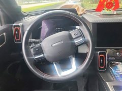 Great Wall Dachshund 1.5T DCT Two-Wheel Drive Labrador Edition - ფოტო 15