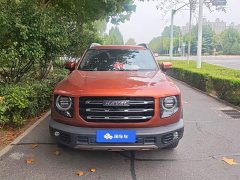Great Wall Dachshund 1.5T DCT Two-Wheel Drive Labrador Edition - ფოტო 2