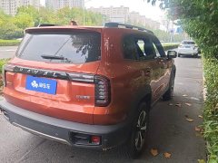 Great Wall Dachshund 1.5T DCT Two-Wheel Drive Labrador Edition - ფოტო 3