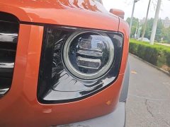 Great Wall Dachshund 1.5T DCT Two-Wheel Drive Labrador Edition - ფოტო 5