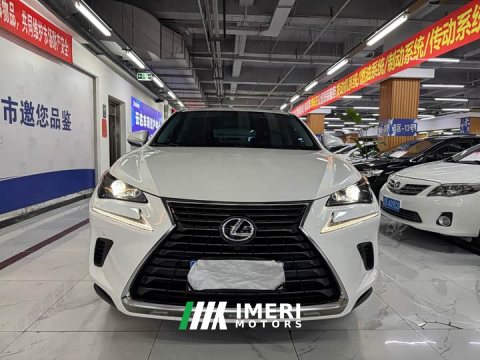 2021 Lexus NX 2020 200 FWD Sharp Edition National VI - ავტომობილი ჩინეთიდან