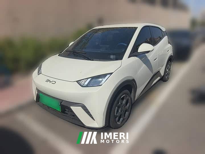 BYD Seagull 2025 305km Freedom Edition - ავტომობილი ჩინეთიდან