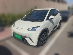 BYD Seagull 2025 305km Freedom Edition - ფოტო 1