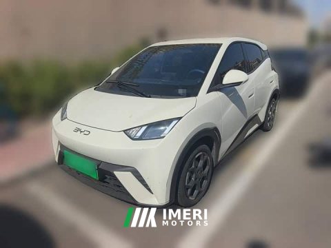 2024 BYD Seagull 2025 305km Freedom Edition - ავტომობილი ჩინეთიდან