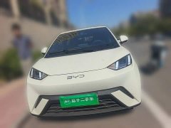 BYD Seagull 2025 305km Freedom Edition - ფოტო 2