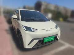 BYD Seagull 2025 305km Freedom Edition - ფოტო 3