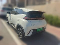 BYD Seagull 2025 305km Freedom Edition - ფოტო 4