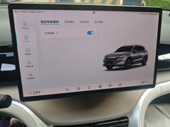 BYD Song Pro New Energy DM-i 110KM Excellence Edition - ფოტო 20