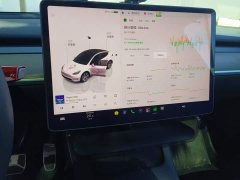 Tesla Model Y Rear-Wheel Drive - ფოტო 14