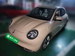 ORA Good Cat 401km Standard Range Deluxe Edition LFP Battery - ფოტო 1