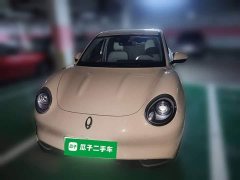 ORA Good Cat 401km Standard Range Deluxe Edition LFP Battery - ფოტო 2