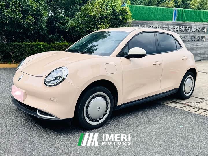 ORA Good Cat 401km Comfort Edition - ავტომობილი ჩინეთიდან