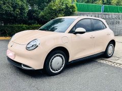 ORA Good Cat 401km Comfort Edition - ფოტო 1