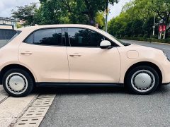 ORA Good Cat 401km Comfort Edition - ფოტო 7