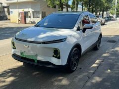 Geely Geometry E Firefly 401KM Linglong Tiger 5-Seater - ფოტო 3
