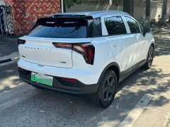 Geely Geometry E Firefly 401KM Linglong Tiger 5-Seater - ფოტო 9