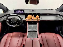 Luxeed Zhiji S7 Max - ფოტო 10