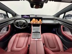 Luxeed Zhiji S7 Max - ფოტო 11