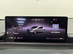 Luxeed Zhiji S7 Max - ფოტო 14