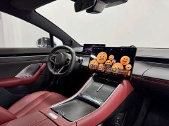 Luxeed Zhiji S7 Max - ფოტო 9