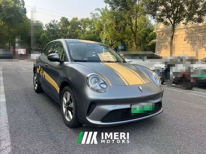 ORA Good Cat 430km Deluxe Edition - ავტომობილი ჩინეთიდან