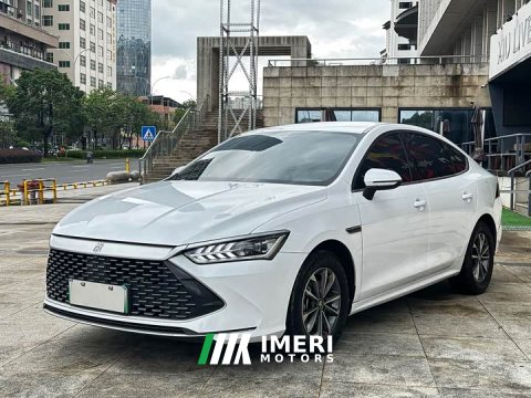 2023 BYD Qin PLUS Champion Edition DM-i 55KM Leading - ავტომობილი ჩინეთიდან