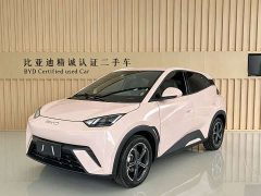 BYD Seagull Flying Edition - ფოტო 1